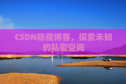 CSDN隐藏博客，探索未知的私密空间